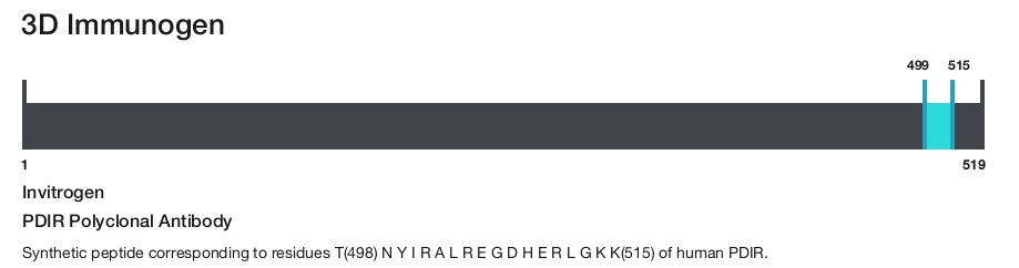 PDIR Polyclonal Antibody