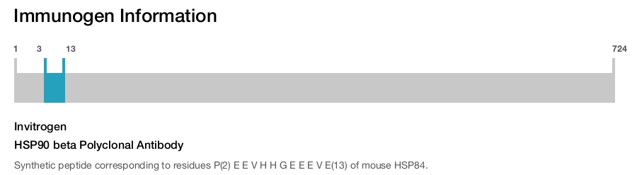 HSP90 beta Polyclonal Antibody