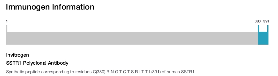 SSTR1 Polyclonal Antibody