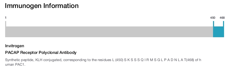 PACAP Receptor Polyclonal Antibody