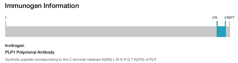 PLP1 Polyclonal Antibody