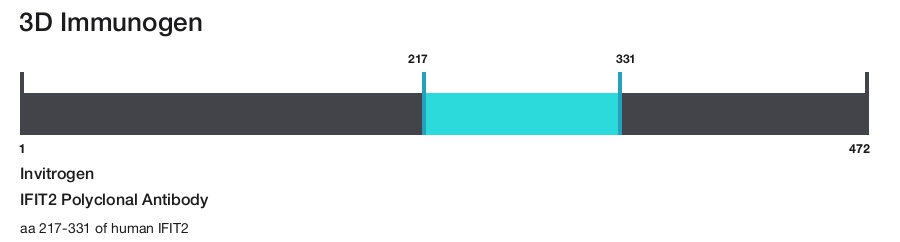 IFIT2 Polyclonal Antibody