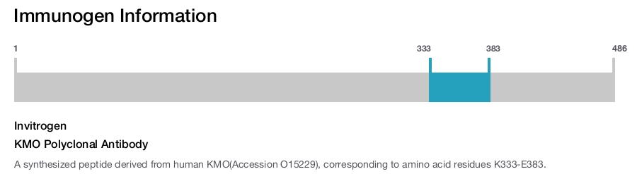 KMO Polyclonal Antibody