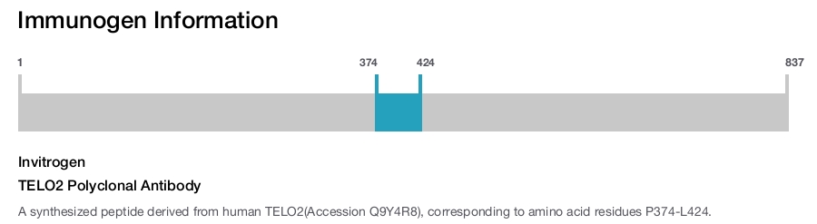 TELO2 Polyclonal Antibody