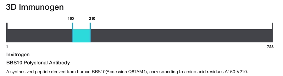 BBS10 Polyclonal Antibody