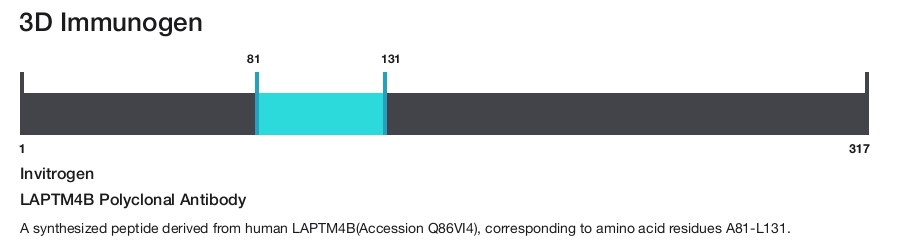 LAPTM4B Polyclonal Antibody