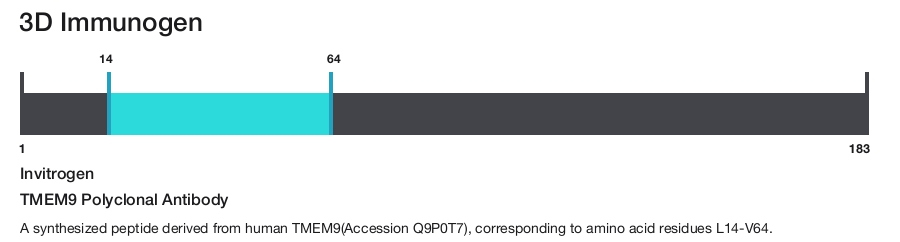 TMEM9 Polyclonal Antibody