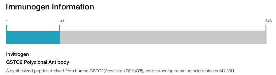 GSTO2 Polyclonal Antibody