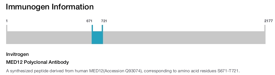 MED12 Polyclonal Antibody