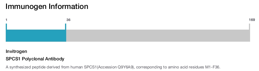 SPCS1 Polyclonal Antibody