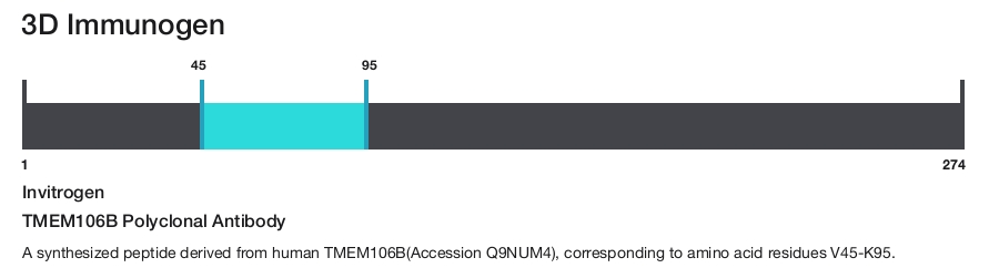 TMEM106B Polyclonal Antibody