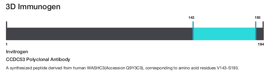 CCDC53 Polyclonal Antibody