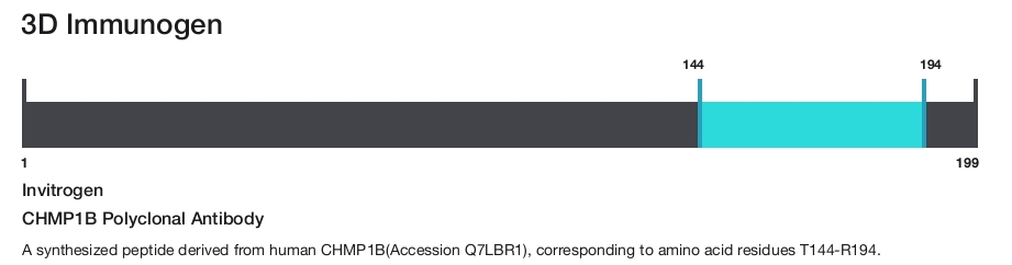 CHMP1B Polyclonal Antibody