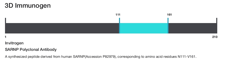SARNP Polyclonal Antibody