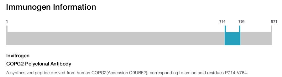 COPG2 Polyclonal Antibody