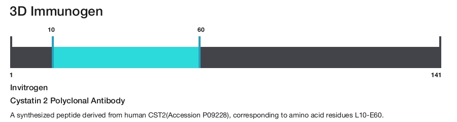 Cystatin 2 Polyclonal Antibody