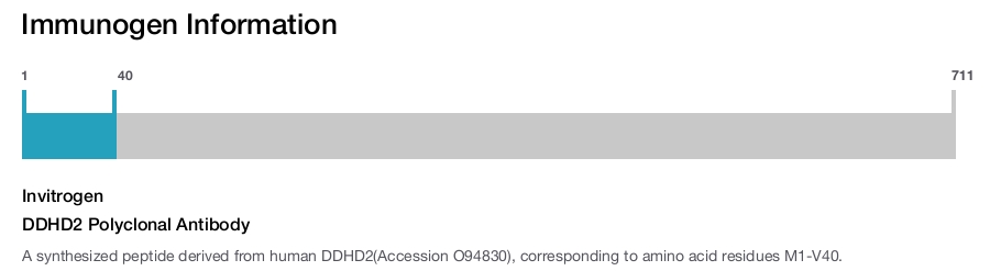 DDHD2 Polyclonal Antibody