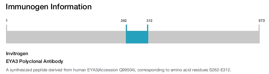 EYA3 Polyclonal Antibody