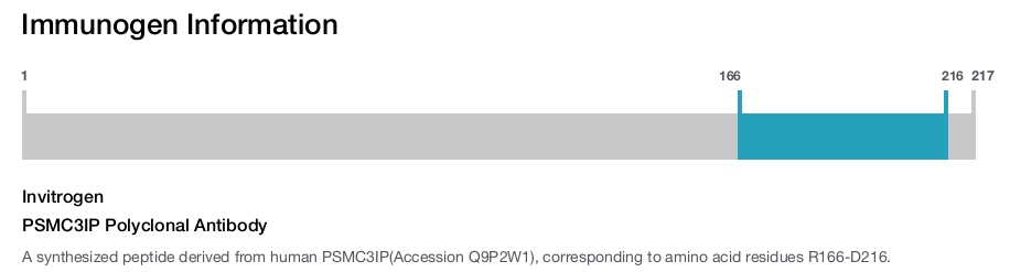 PSMC3IP Polyclonal Antibody