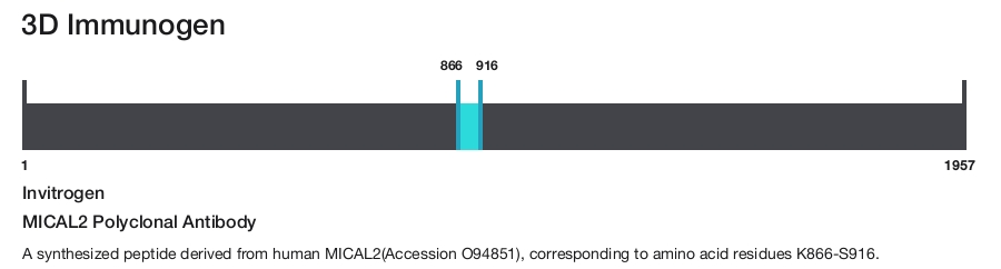 MICAL2 Polyclonal Antibody