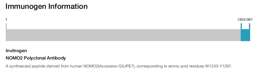 NOMO2 Polyclonal Antibody