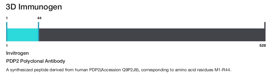 PDP2 Polyclonal Antibody
