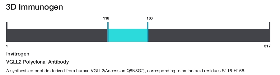 VGLL2 Polyclonal Antibody