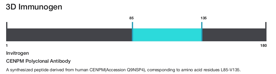 CENPM Polyclonal Antibody