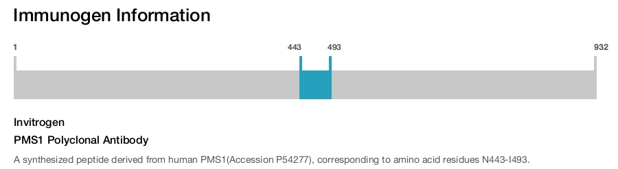 PMS1 Polyclonal Antibody