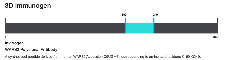 WARS2 Polyclonal Antibody