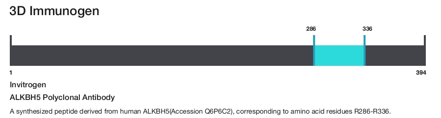 ALKBH5 Polyclonal Antibody