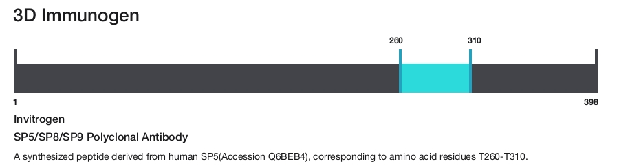 SP5/SP8/SP9 Polyclonal Antibody