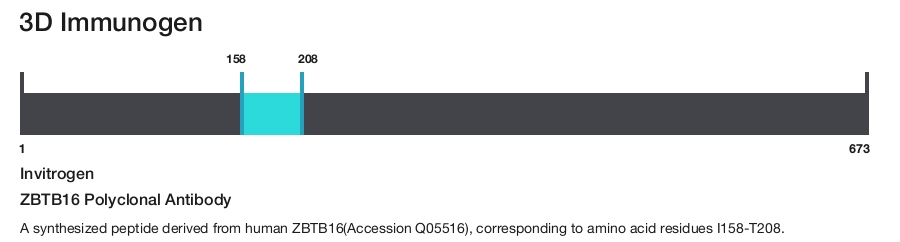 ZBTB16 Polyclonal Antibody