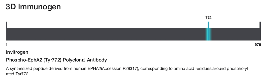 Phospho-EphA2 (Tyr772) Polyclonal Antibody