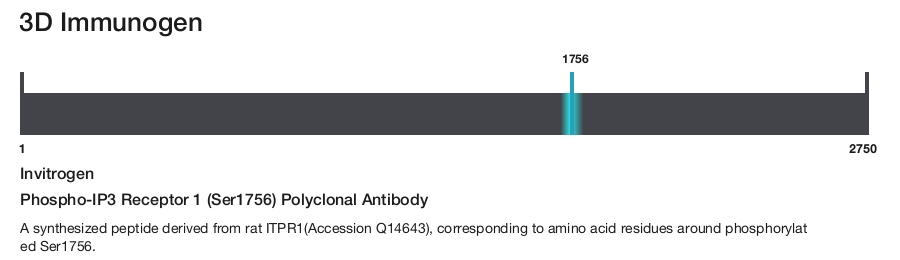 Phospho-IP3 Receptor 1 (Ser1756) Polyclonal Antibody