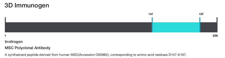 MSC Polyclonal Antibody