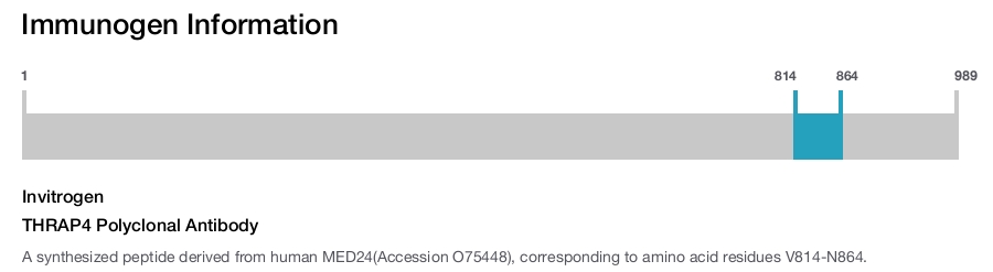 THRAP4 Polyclonal Antibody