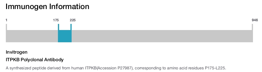 ITPKB Polyclonal Antibody