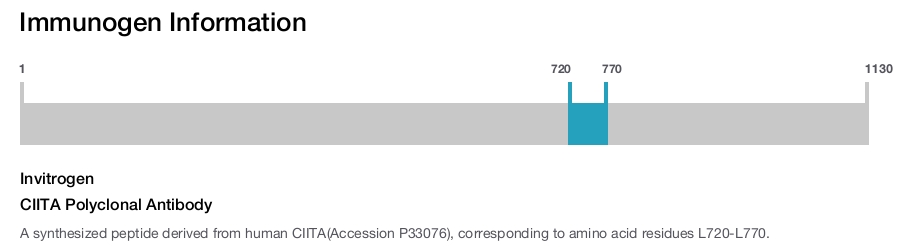 CIITA Polyclonal Antibody