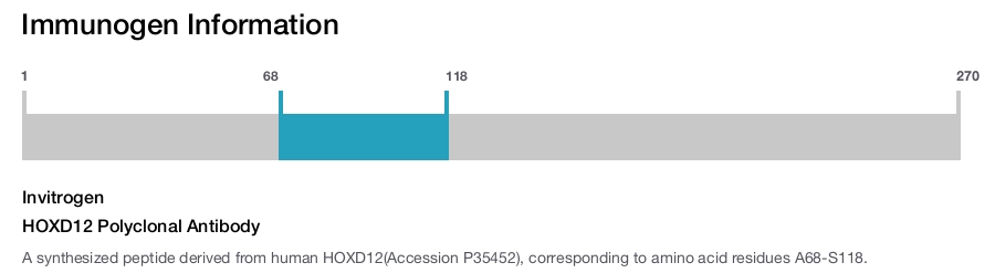 HOXD12 Polyclonal Antibody