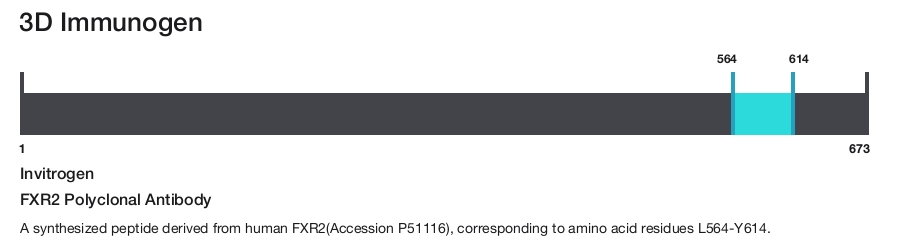 FXR2 Polyclonal Antibody