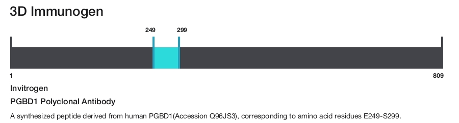 PGBD1 Polyclonal Antibody