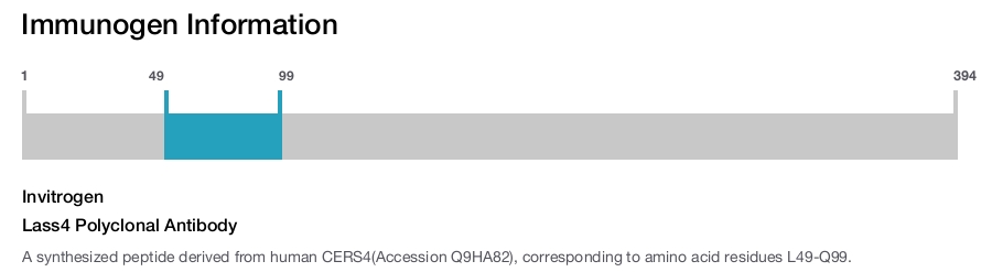 Lass4 Polyclonal Antibody