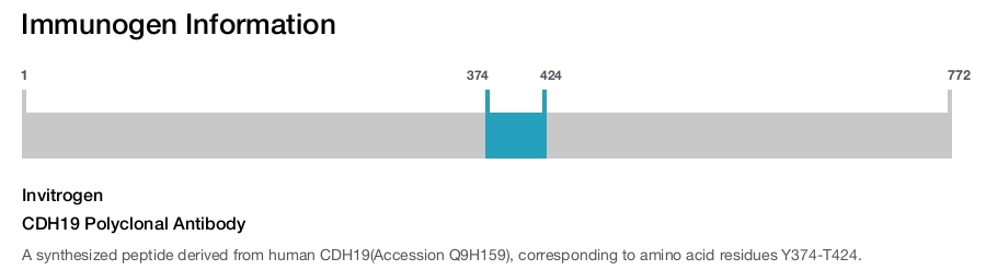 CDH19 Polyclonal Antibody