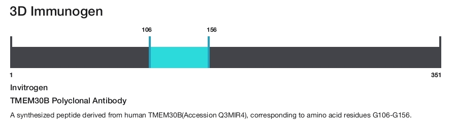 TMEM30B Polyclonal Antibody
