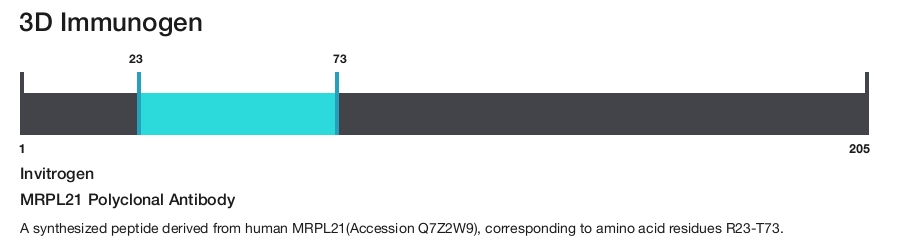 MRPL21 Polyclonal Antibody