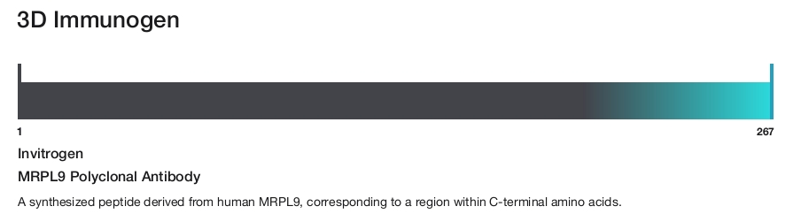 MRPL9 Polyclonal Antibody
