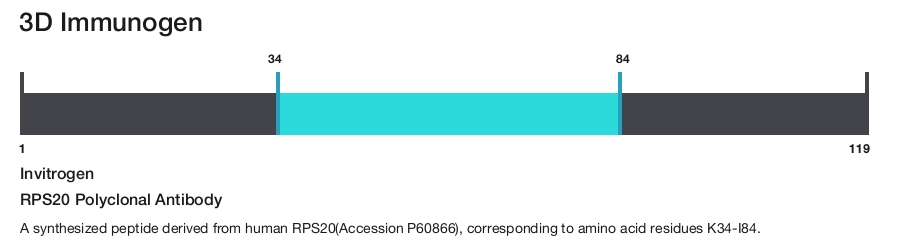 RPS20 Polyclonal Antibody