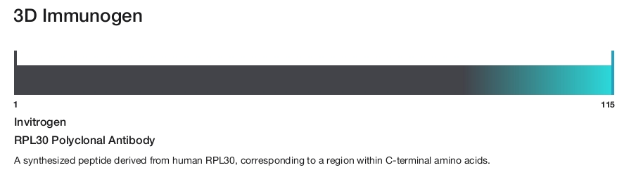 RPL30 Polyclonal Antibody
