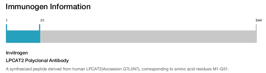 LPCAT2 Polyclonal Antibody